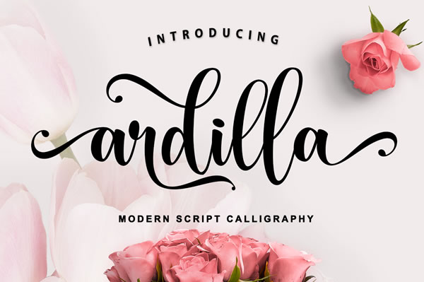 Ardilla Font: A Handwritten Script for Elegant Designs