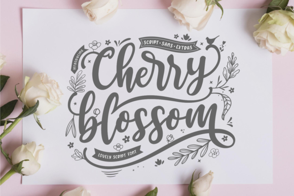 Cherry Blossom Font: A Trio for Stunning Visuals